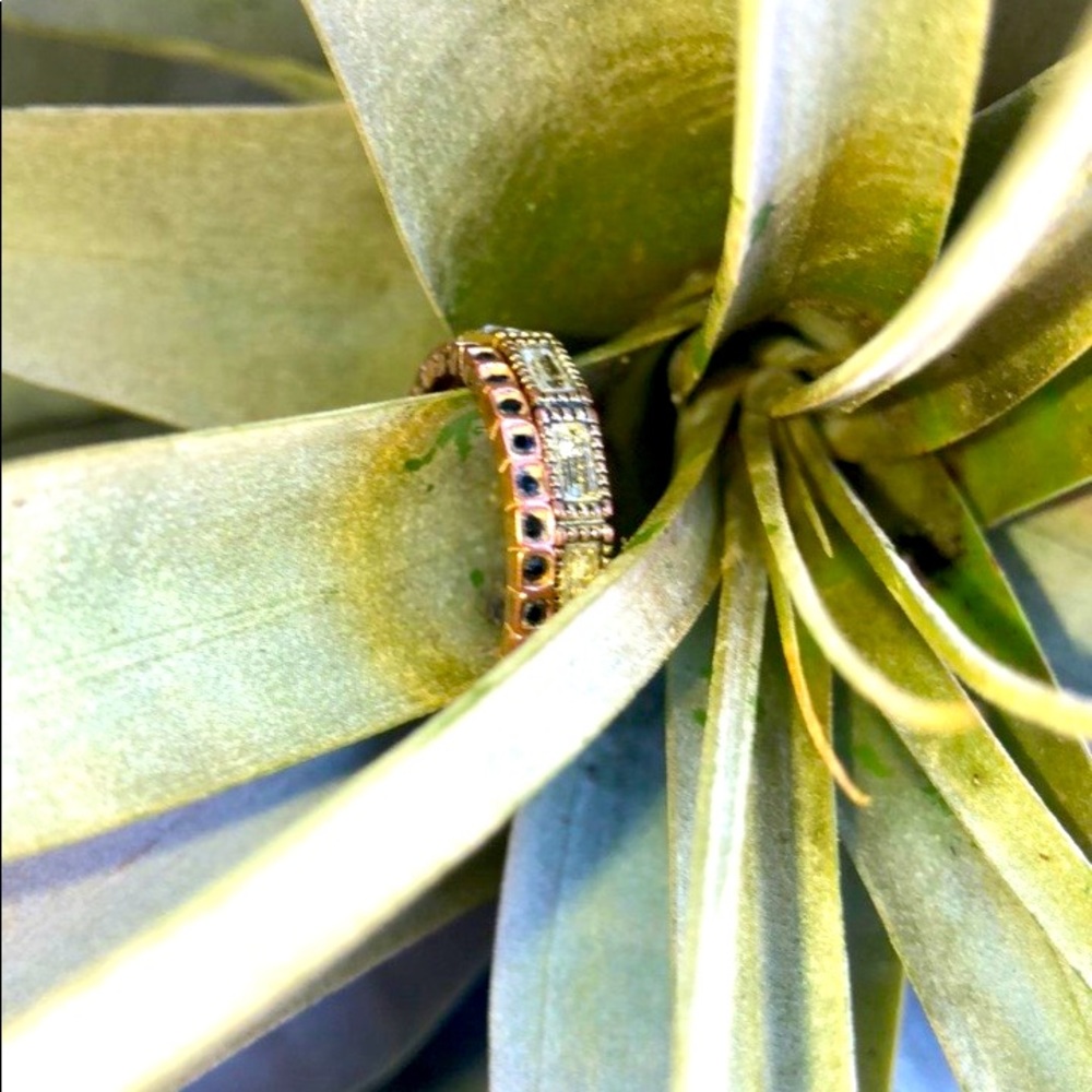 TWO Super Pretty Rings